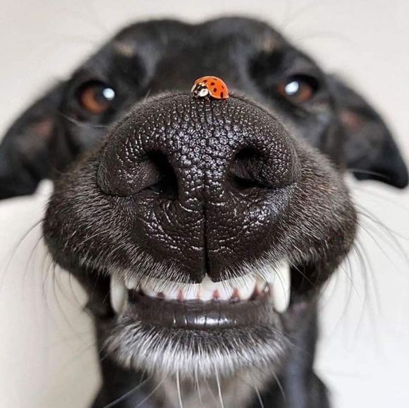 @Cricket6187 Other - Technical problems on sharing